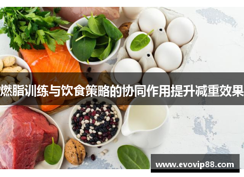 燃脂训练与饮食策略的协同作用提升减重效果