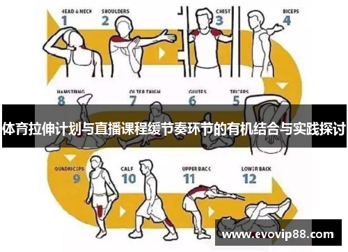 体育拉伸计划与直播课程缓节奏环节的有机结合与实践探讨